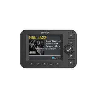 Radioamp-7-New Launch Dual Knob 10.1 Inch 2K FHD Car Radio